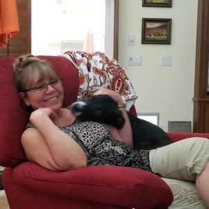 Meet your Posher, Dawn